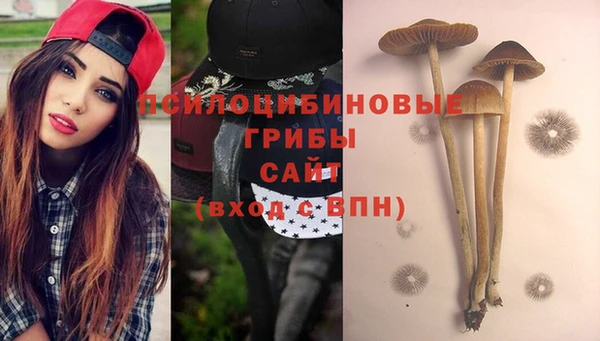 прущие крисы Покров