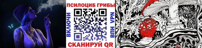 Галлюциногенные грибы MAGIC MUSHROOMS  купить закладку  Калач 